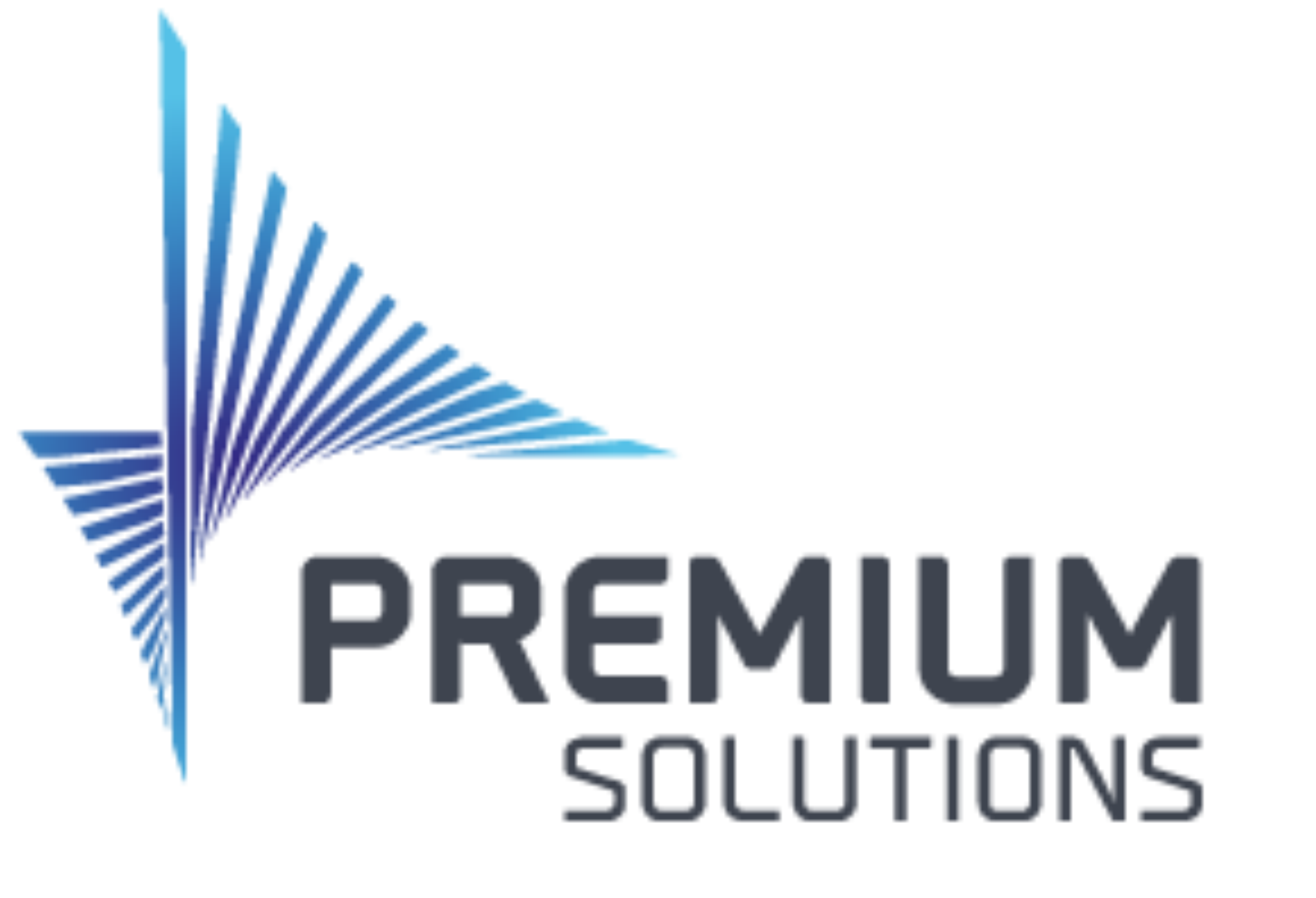 Logo premium_solution