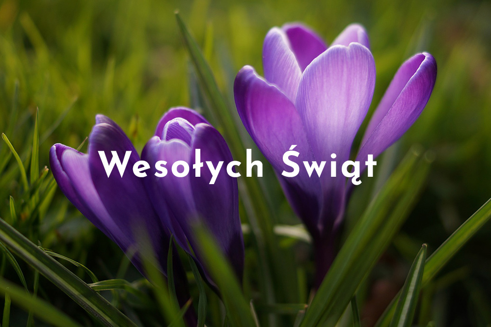 Wesołych Świąt