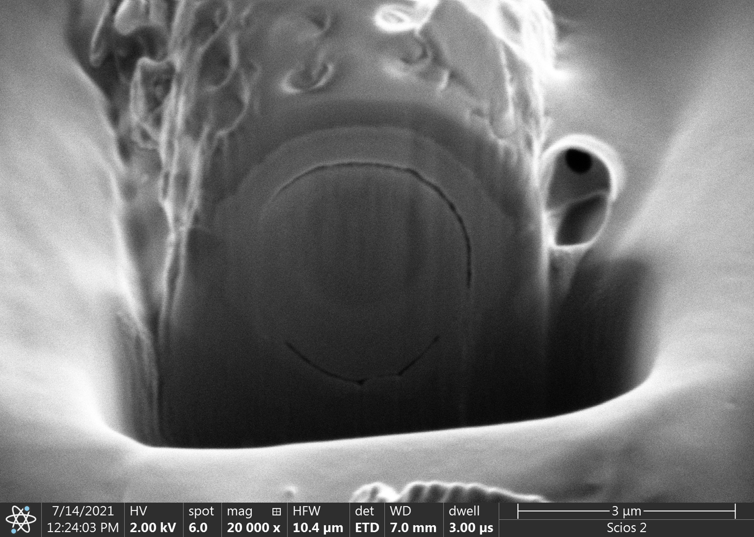 Mikrofotografia wykonana techniką skaningowej mikroskopii elektronowej. Widoczne są nieregularne struktury osnowy polimerowej na przełomie oraz cylindryczne, ażurowe pancerzyki okrzemek częściowo zanurzone w osnowie.