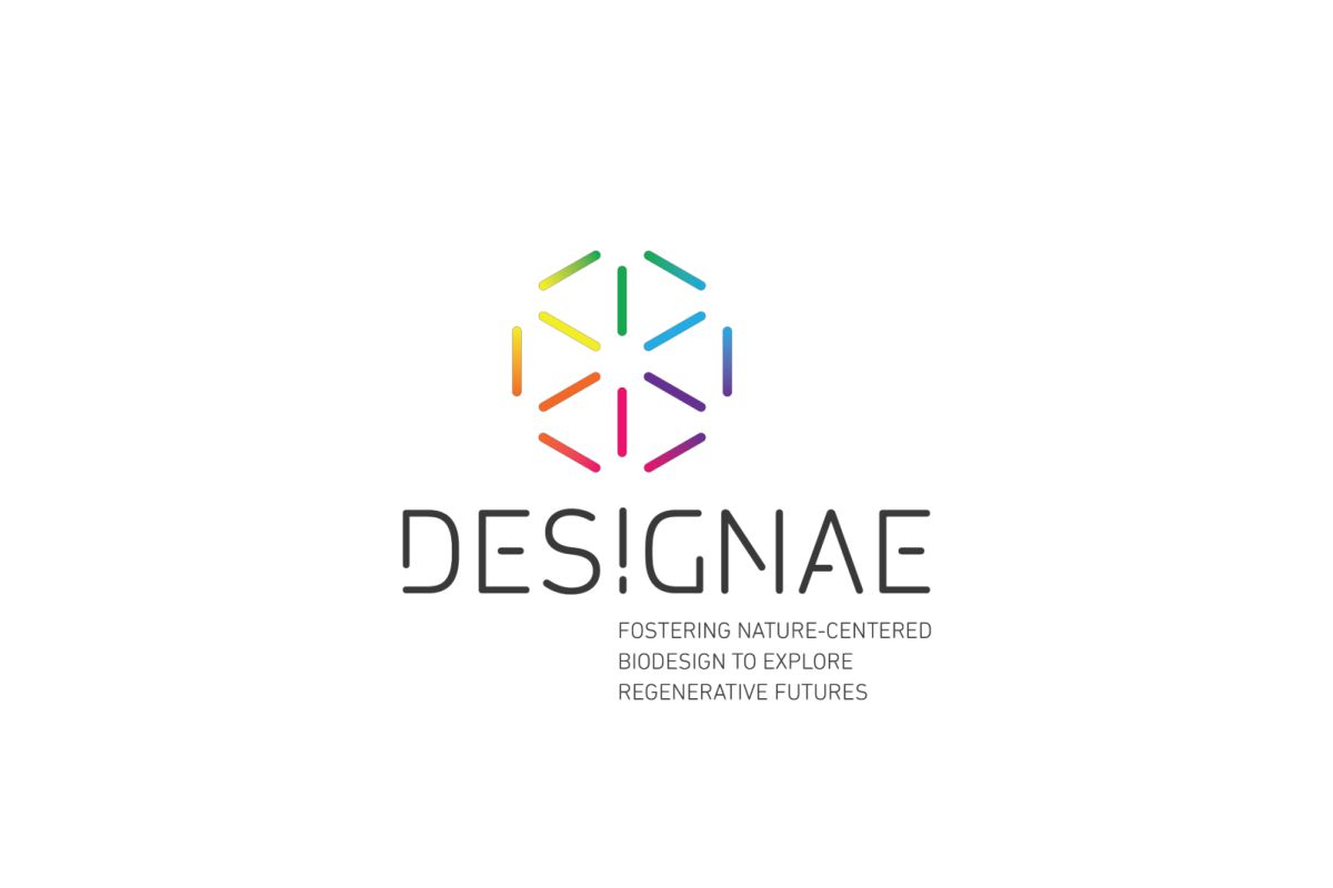 logo DESIGNAE