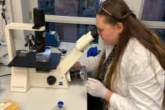 M. Rodziewicz w trakcie obserwacji mikroskopowych-arch. pryw. M. Łepickiej