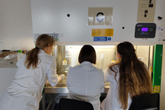 praca w laboratorium-arch. pryw. M. Łepickiej