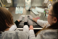 przygotowanie próbek-arch. pryw. M. Łepickiej